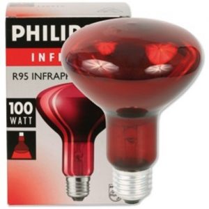 Infrared Bulb