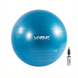 exercise ball 55 cm